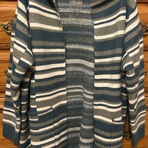 Studio Blue and Gray Striped Cardigan